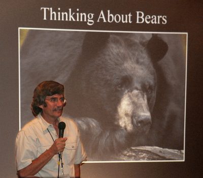 thinking-about-bears