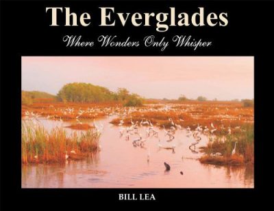 everglades-bill-lea